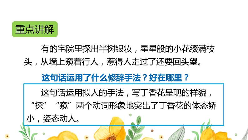 六年级上册语文人教部编版 2.丁香结 课件02