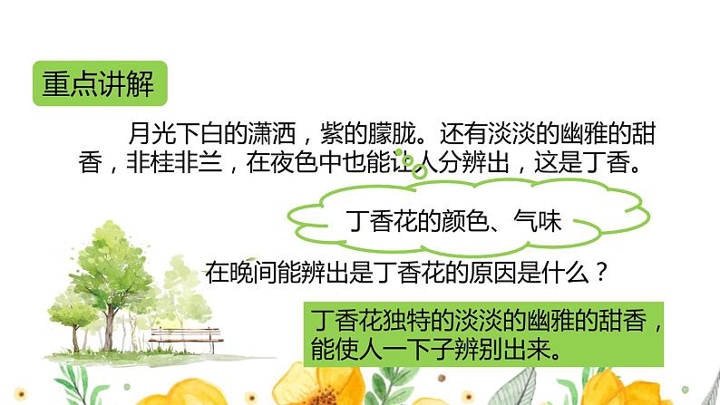 六年级上册语文人教部编版 2.丁香结 课件03