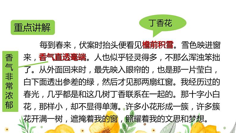 六年级上册语文人教部编版 2.丁香结 课件04