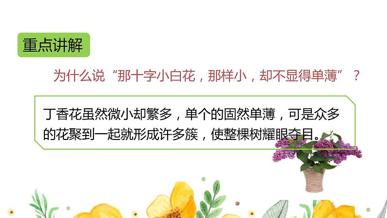 六年级上册语文人教部编版 2.丁香结 课件05