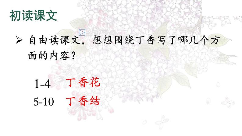 六年级上册语文人教部编版 2.丁香结 课件第6页