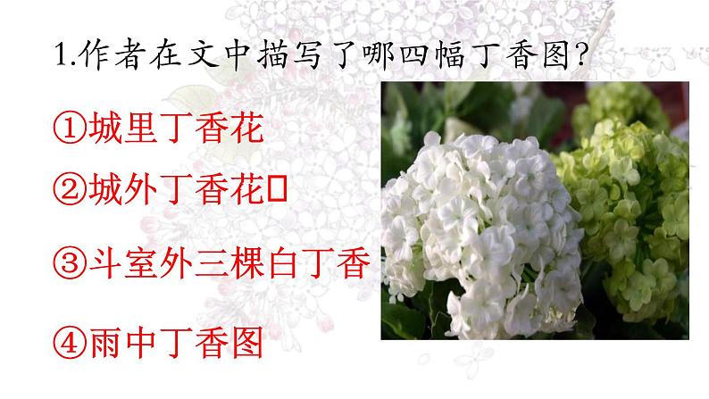六年级上册语文人教部编版 2.丁香结 课件第8页