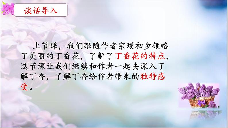 六年级上册语文人教部编版 2.丁香结 课件第3页