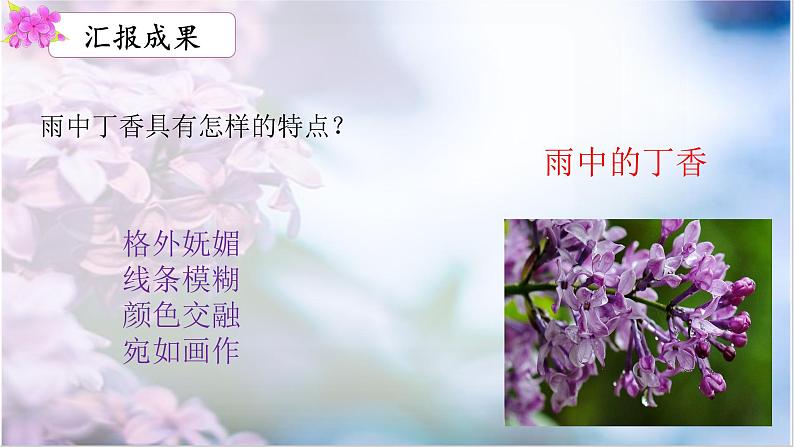 六年级上册语文人教部编版 2.丁香结 课件第7页