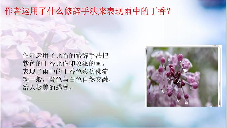 六年级上册语文人教部编版 2.丁香结 课件第8页