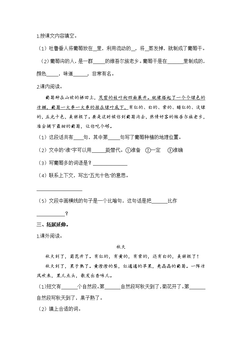 【同步分层作业】部编版小学语文二年级上册课时练《11 葡萄沟》(分层含答案)02