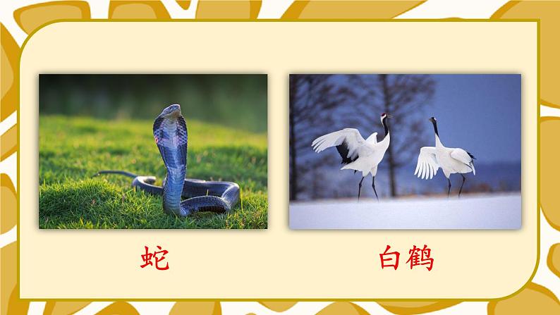 统编6年级语文上册 第八单元 语文园地八 PPT课件+教案04