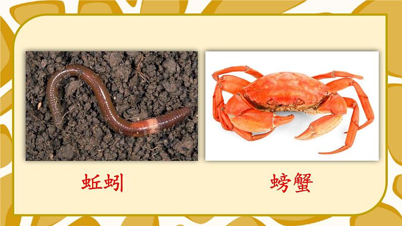 统编6年级语文上册 第八单元 语文园地八 PPT课件+教案06