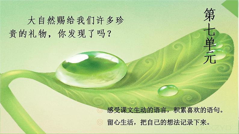 21 大自然的声音(课件PPT+素材)01