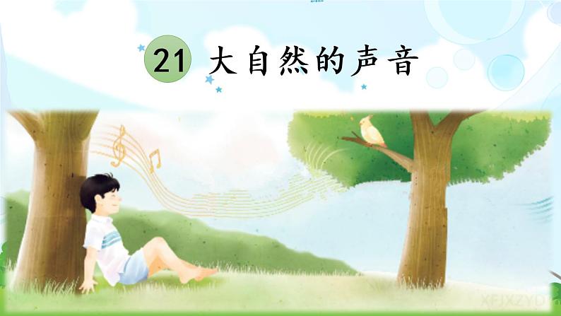21 大自然的声音(课件PPT+素材)04