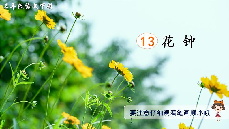 13 花钟 课件PPT+音视频素材(送生字课件+教案)01