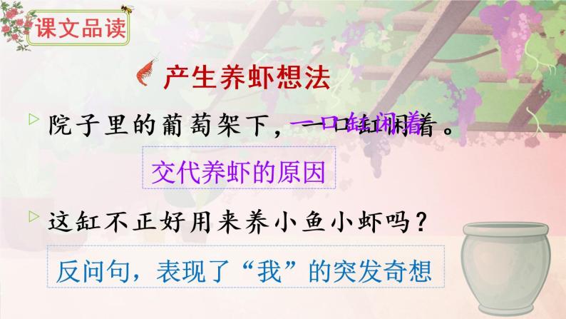 15 小虾 课件PPT+音视频素材（送生字课件+教案）07