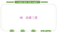 小学语文人教部编版六年级下册10 清平乐·春归何处习题课件ppt