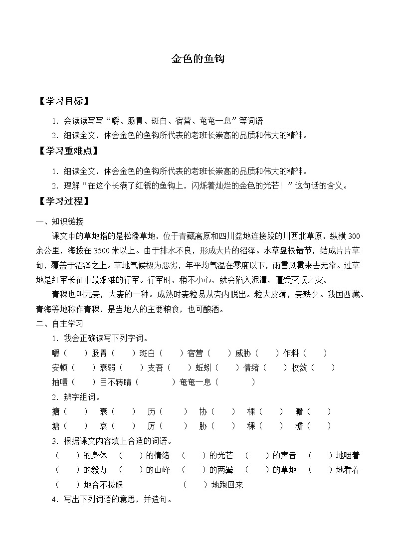 六年級上冊語文人教部編版15.金色的魚鉤  學(xué)案第1頁