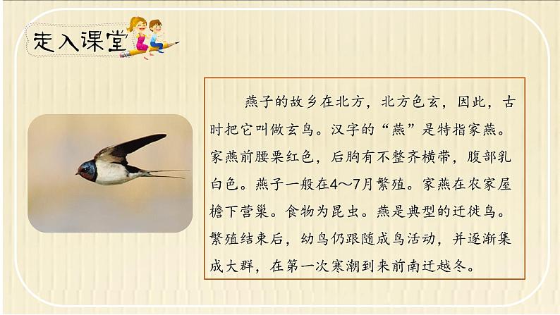 《燕子》第一课时(教案匹配版)(1)第2页