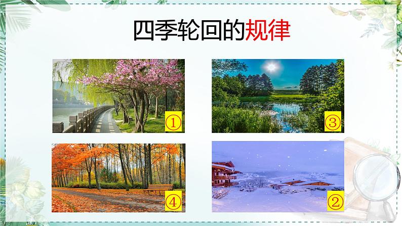 二下22《小毛虫》说课课件03