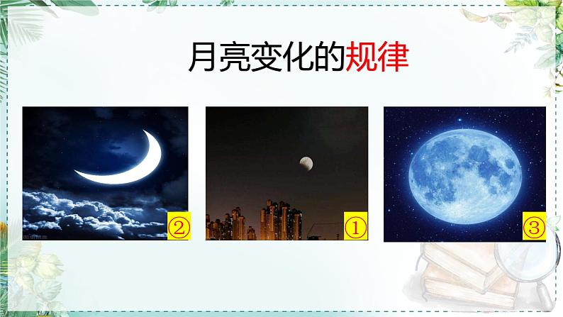 二下22《小毛虫》说课课件05