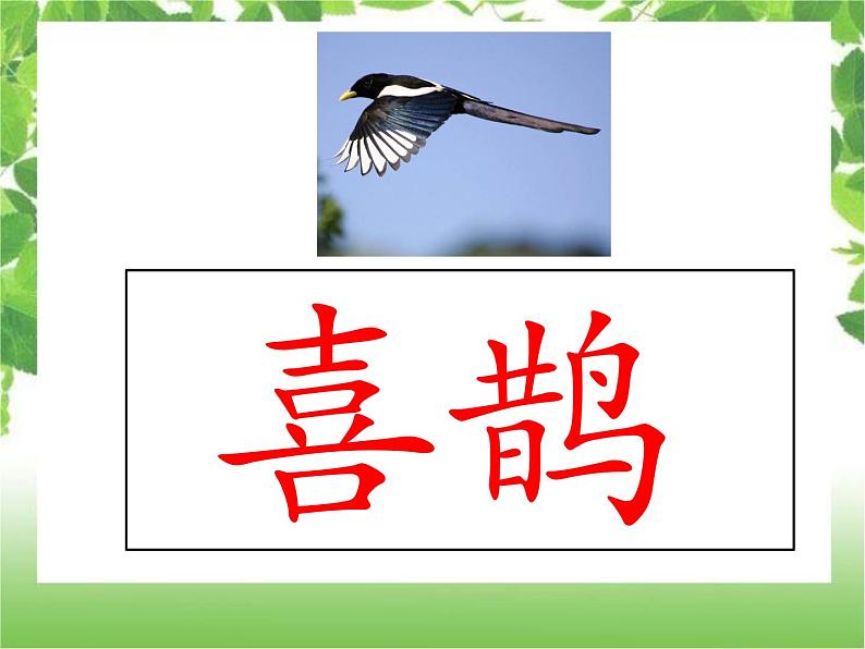 一下6《树和喜鹊》课件第8页