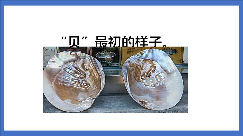 《识字3 “贝”的故事》课件+教案+练习+素材04
