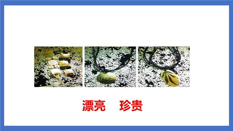 《识字3 “贝”的故事》课件+教案+练习+素材05