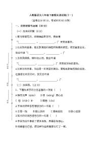 小学统编版语文六年级下册期末测试卷十一及答案