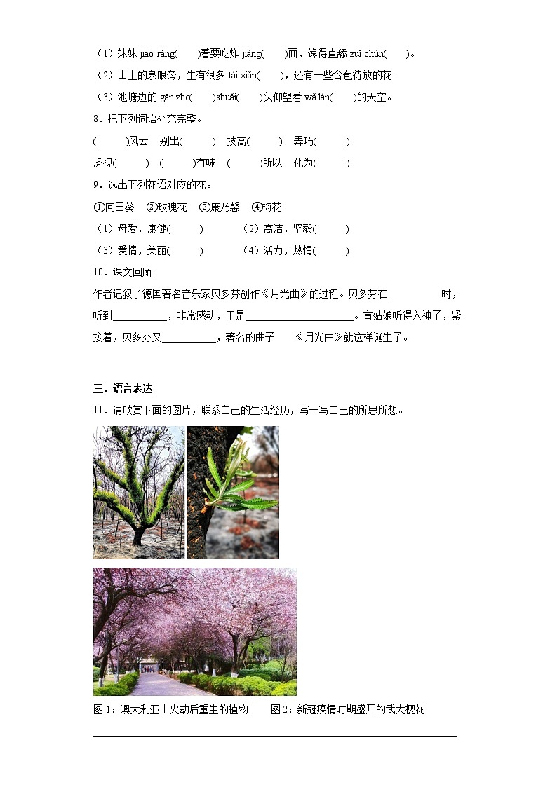 部编版语文六年级上册期末提高练(一)第2页