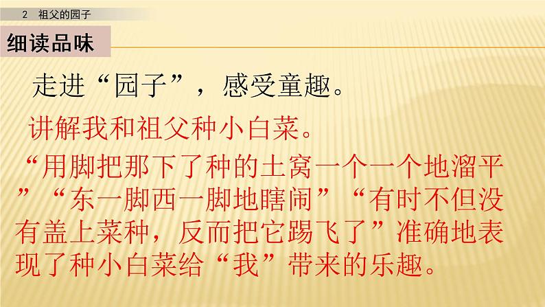 小学语文人教部编版(五四制)五年级下册 第一单元 3 祖父的园子 第二课时 配套课件2第3页