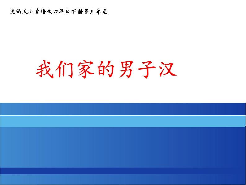 四下20《我们家的男子汉》课件第1页