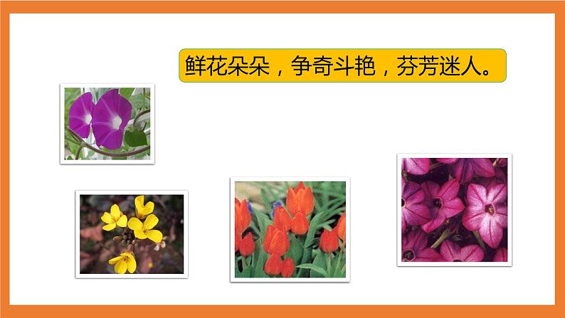 统编版3下语文 13《花钟》课件+教案+练习+素材05