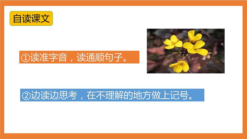 统编版3下语文 13《花钟》课件+教案+练习+素材06