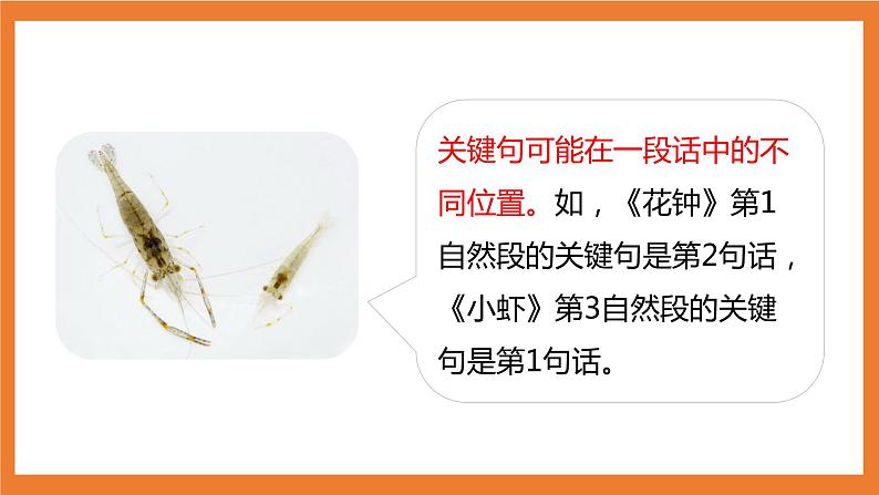 统编版3下语文 第4单元 语文园地 课件第5页