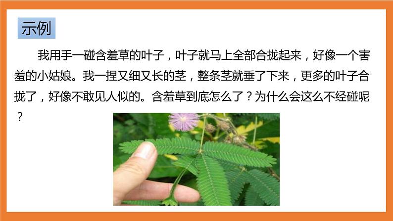 统编版3下语文 第4单元 语文园地 课件第7页