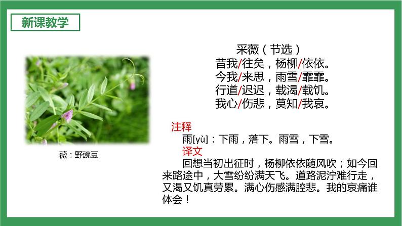 统编版6下语文 第6单元 古诗词诵读 课件+教案+素材05