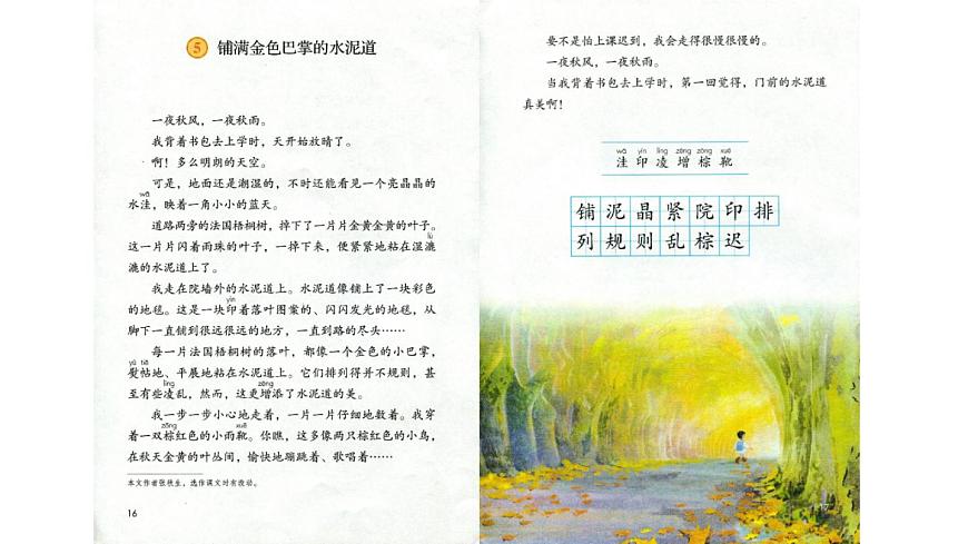 5 .鋪滿金色巴掌的水泥道(第一課時) 課件第8頁