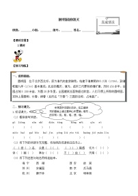 小学语文人教部编版五年级上册14 圆明园的毁灭学案