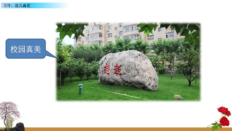 习作 这儿真美PPT+素材03