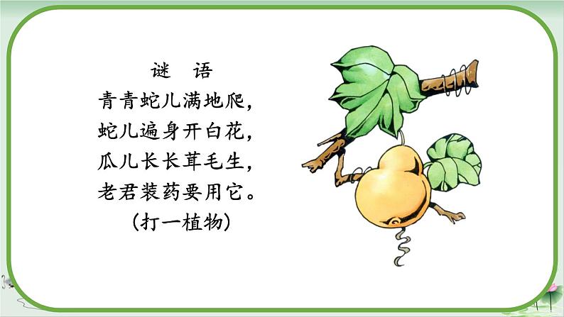四下26《宝葫芦的秘密(节选)》课件01