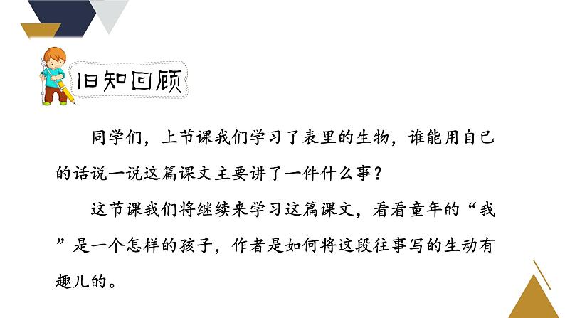人教版六年级下册第五单元——第十六课《表里的生物》【PPT+教案】02