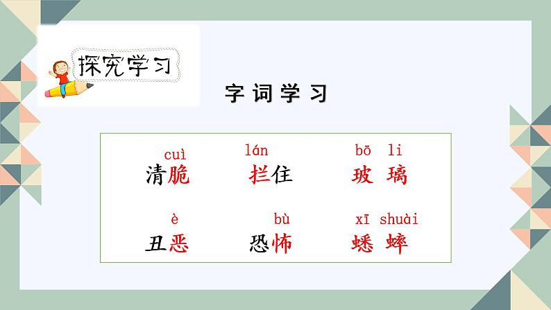 人教版六年级下册第五单元——第十六课《表里的生物》【PPT+教案】05