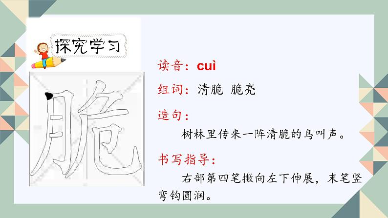 人教版六年级下册第五单元——第十六课《表里的生物》【PPT+教案】06