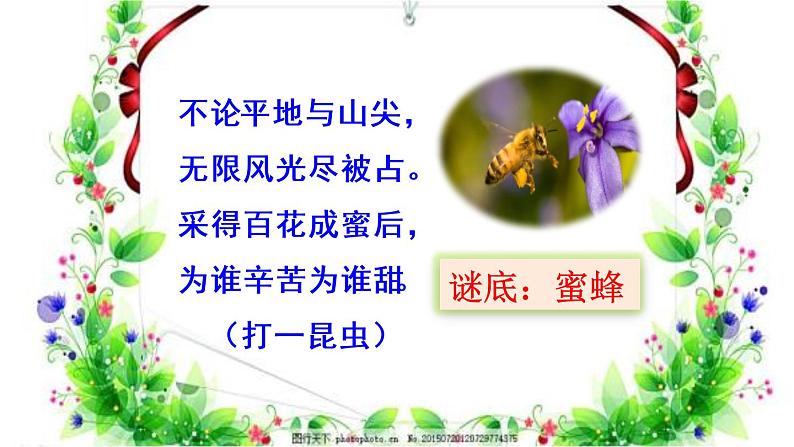 三下 14 蜜蜂 课件01