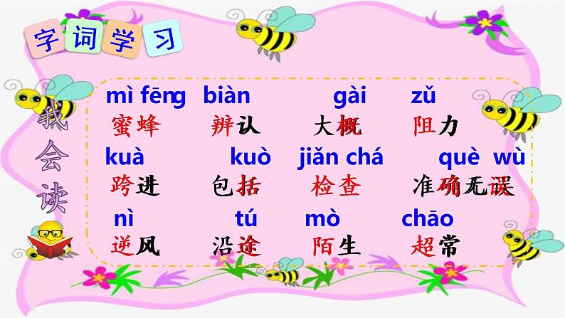 三下 14 蜜蜂 课件05