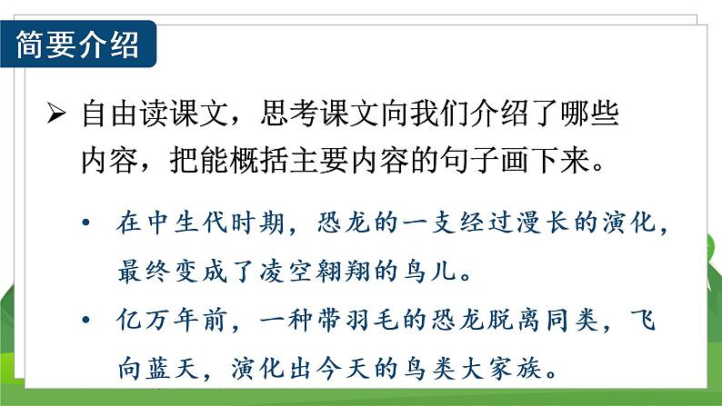 (教案匹配课件)6 飞向蓝天的恐龙第5页