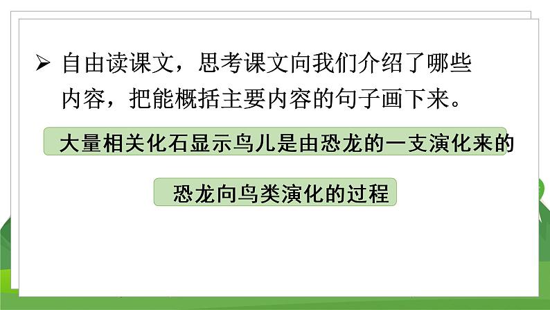 (教案匹配课件)6 飞向蓝天的恐龙第6页