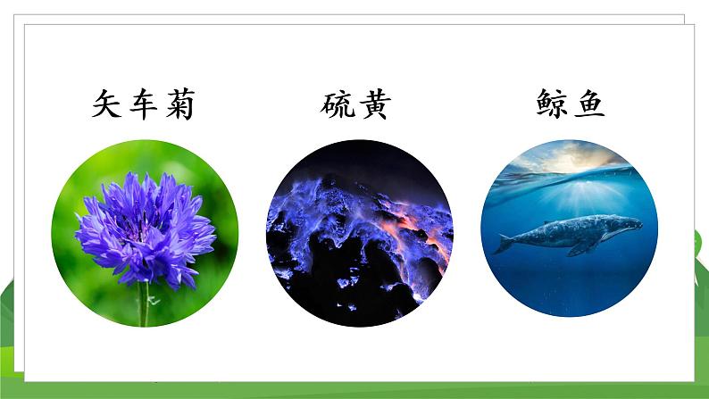(教案匹配课件)28 海的女儿第4页