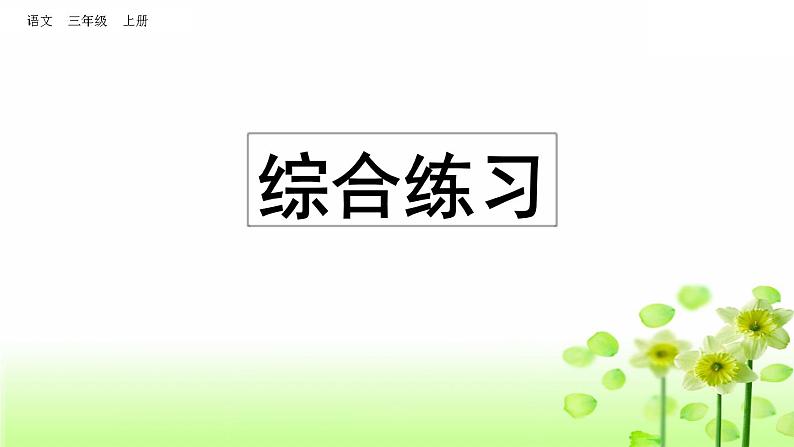 三年级上册专项10:综合练习课件第1页