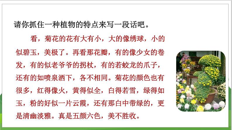 3语文下人教部编(经典版) 期末整理与复习_各考点题型讲解及典例专训 4.专项复习之四 写作 PPT课件第4页