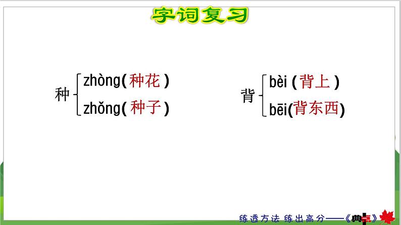 3语文下人教部编(经典版) 期末整理与复习_各单元知识梳理及典例专训 第4单元复习 PPT课件第7页