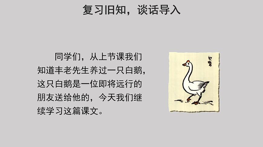 15白鵝參考課件第2課時第3頁