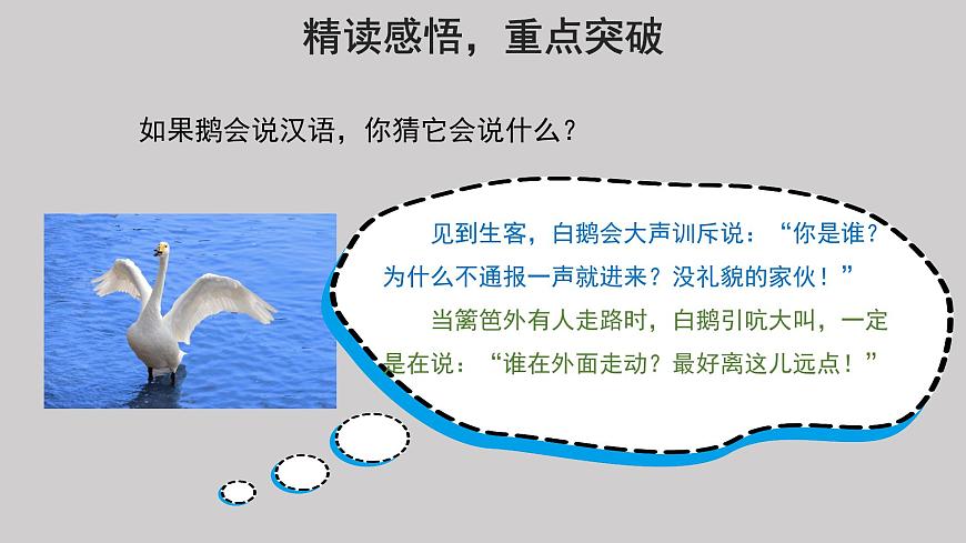 15白鵝參考課件第2課時第6頁
